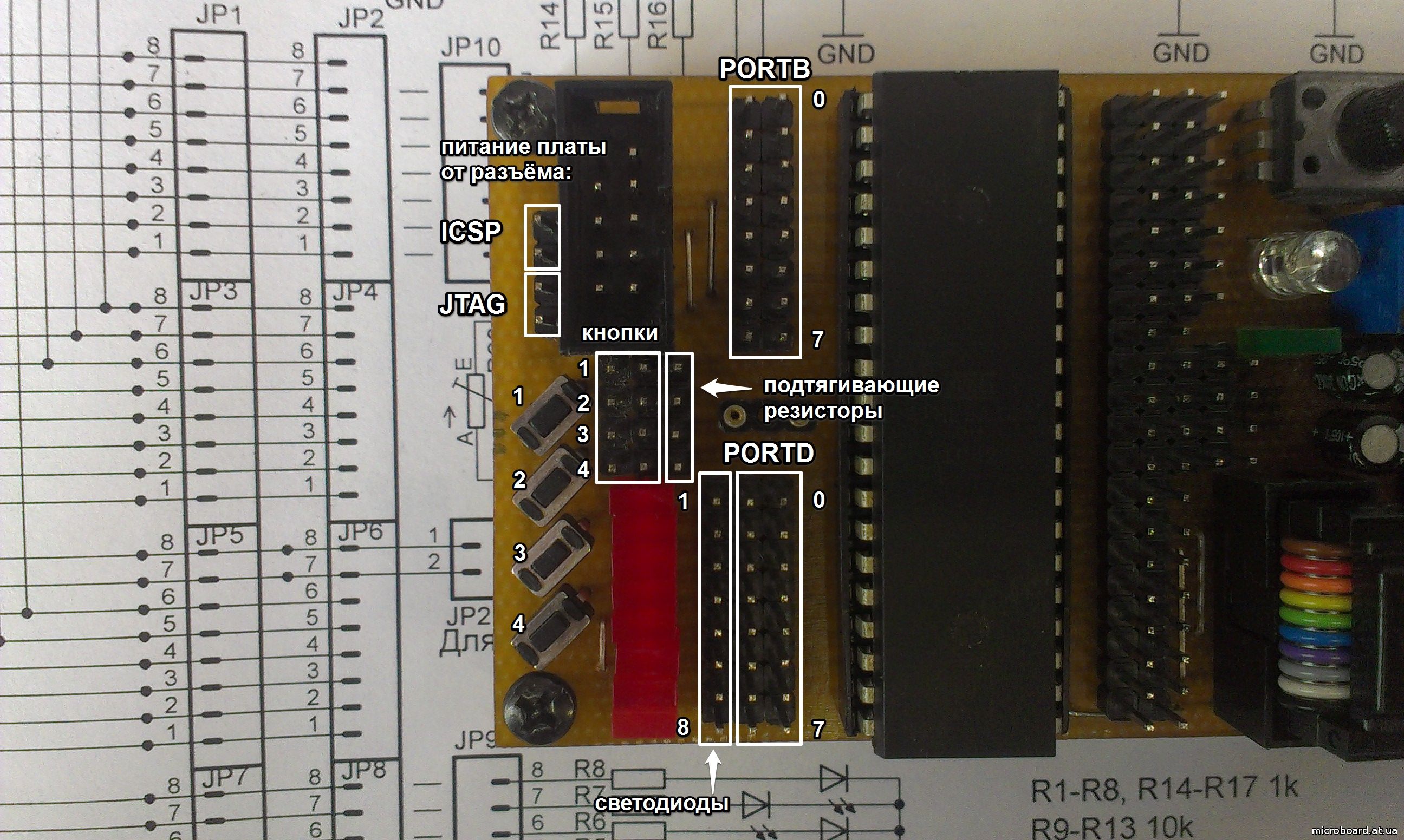 Отладочная плата ATmega16 - Отладочные платы - Статьи - MicroBoard